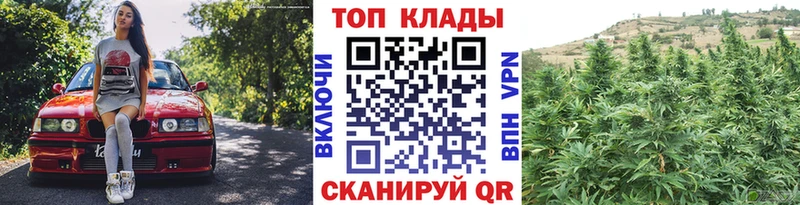 Купить закладку Каннабис  Cocaine  A PVP  Меф мяу мяу  Мурманск