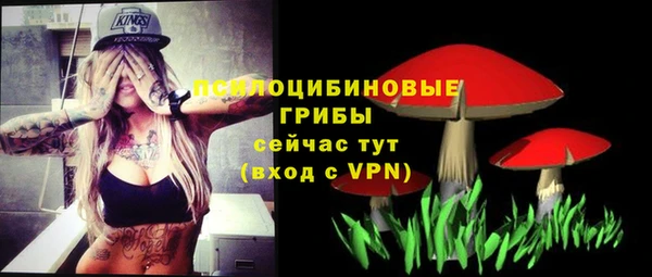 PSILOCYBIN Каменногорск