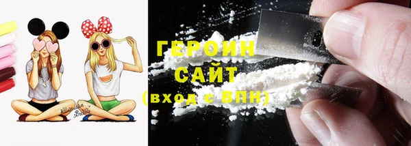 индика Каменка