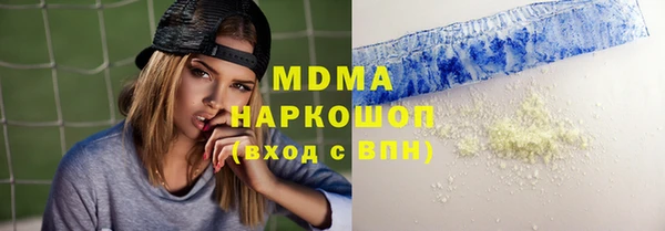 индика Каменка
