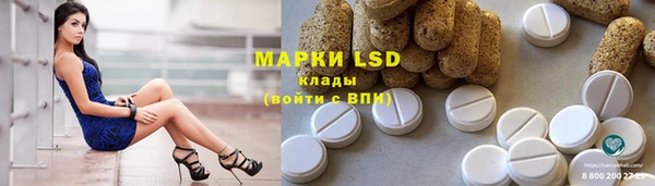 PSILOCYBIN Каменногорск