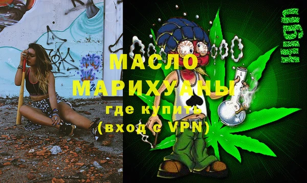 индика Каменка