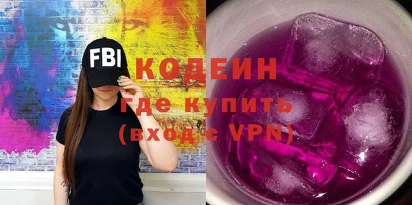 индика Каменка