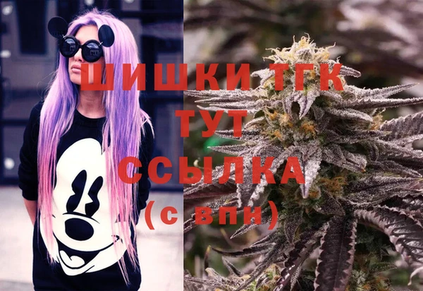 индика Каменка