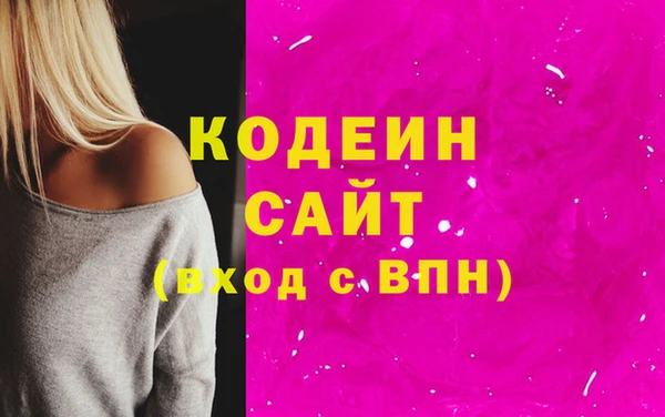 индика Каменка
